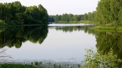 Тело пропавшего мужчины нашли в реке Есиль в СКО