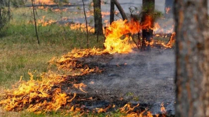 О пожарной опасности предупредили казахстанцев синоптики