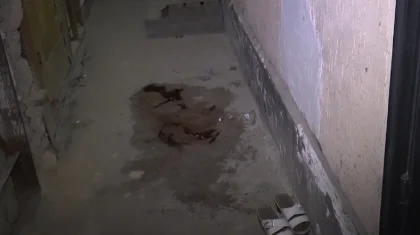 Возлюбленные арендовали комнату и убили хозяина дома в Алматы
