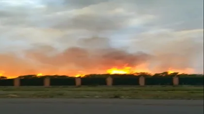 Видео сильного пожара на кладбище в Атбасаре появилось в Сети