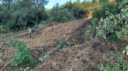 Оползень уничтожил дачи под Алматы