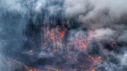 Дым от пожаров в Сибири достиг Нур-Султана