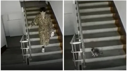 Женщина жестоко пинала котенка в Нур-Султане и попала на видео