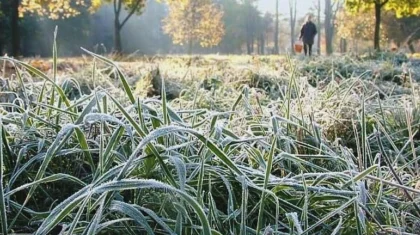 Заморозки прогнозируют синоптики в Казахстане