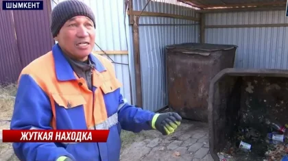 Труп младенца в мусорном баке: установлена личность женщины, выбросившей ребенка