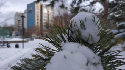 Синоптики рассказали о погоде в 19 городах Казахстана