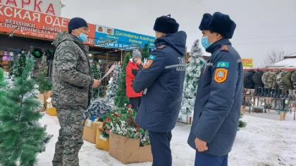 В МЧС обратились к казахстанцам перед новогодними праздниками