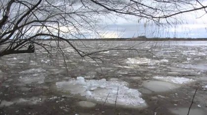 Санврачи бьют тревогу: паводки могут привести к массовым отравлениям в СКО