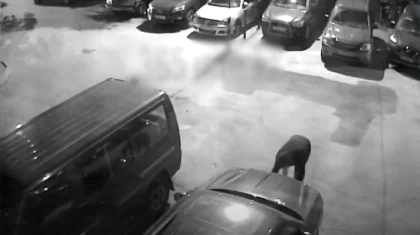 На видео попала кража автономера в Алматы