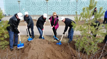 Субботник и посадка деревьев: акимат обратился к астанчанам