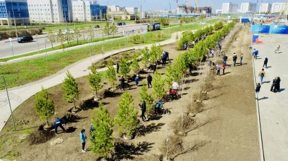 Весенний сезон озеленения в рамках BI Green продолжается!