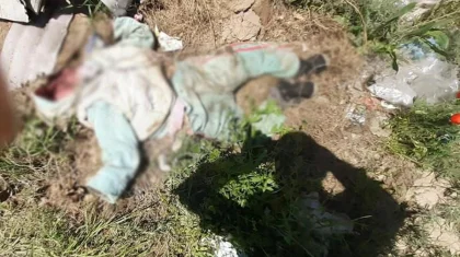 Стали известны подробности жестокого убийства 4-летней девочки в Алматинской области