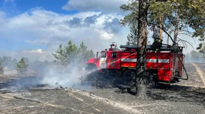 160 гектаров леса горят в Восточно-Казахстанской области