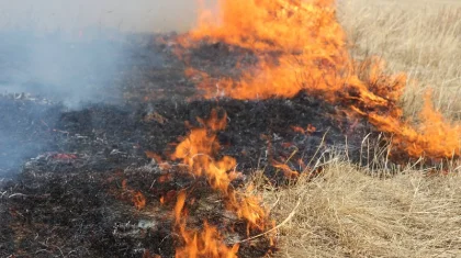 Вторые сутки тушат степной пожар в Карагандинской области