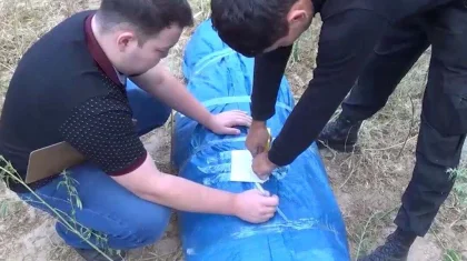 Свыше 500 кг марихуаны изъяли у жителя Жамбылской области