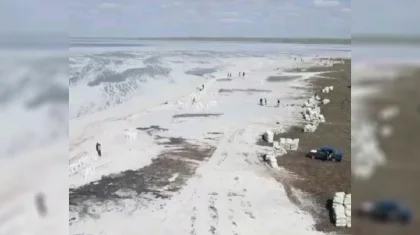 Зола раздора