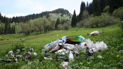 Нацпаркам и курортным зонам дали один день на очистку территорий от мусора