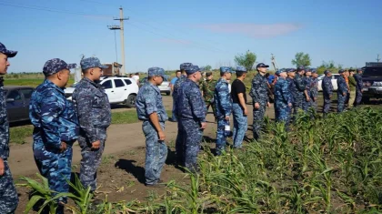 Поиски 5-летней девочки в Костанайской области: найдена кукуруза со следами детских зубов