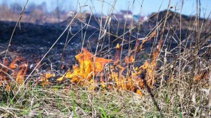 Пожарная опасность: жителей нескольких регионов предупредили о погоде 6 сентября