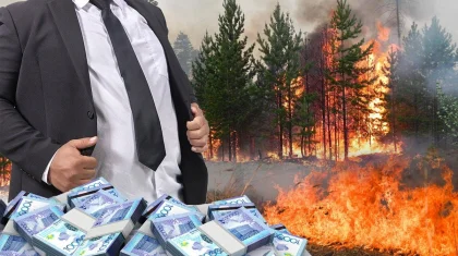«Тушили тряпками, привязанными к веткам»: о борьбе с недавними пожарами без прикрас