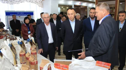 Инвестиционная привлекательность Костанайской области: названы факторы