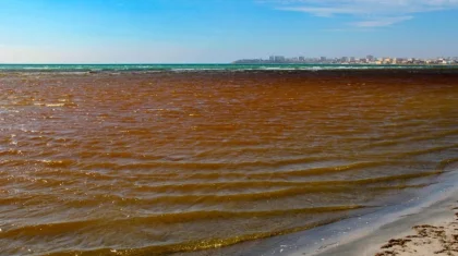 «Море покраснело»: новый цвет Каспия взволновал жителей Актау