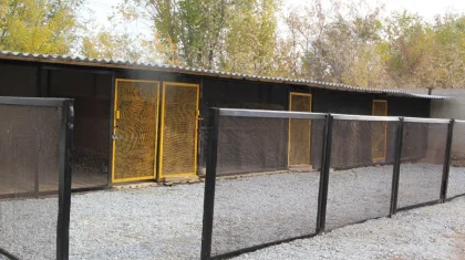 Приют для бродячих животных создали в Житикаре