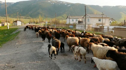 Как однажды большое кино добралось до глухих аулов