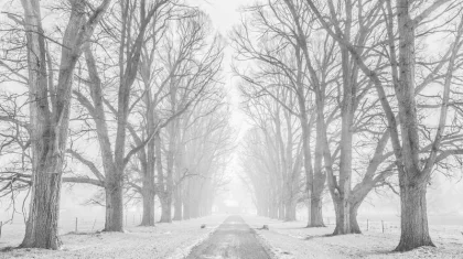 Два участка трассы в Карагандинской области закрыты для всех видов транспорта