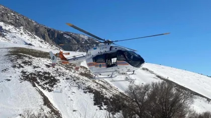 Пропавшую семью из 12 человек нашли в горах Туркестанской области