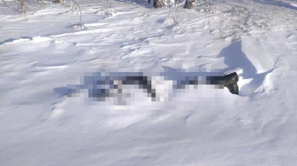 Пропавший рыбак в СКО найден мертвым