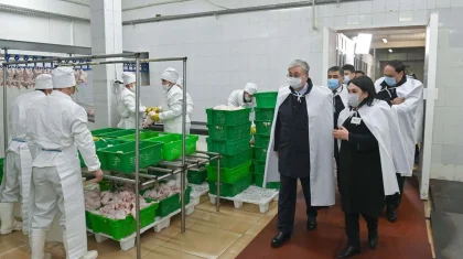 Президент ознакомился с деятельностью птицефабрики в Жамбылской области