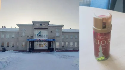 9-классник распылил перцовый баллончик в школе в Павлодарской области