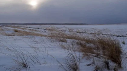 Мужчина насмерть замерз в степи в Карагандинской области