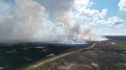 Крупный пожар недалеко от Атырау сняли на видео