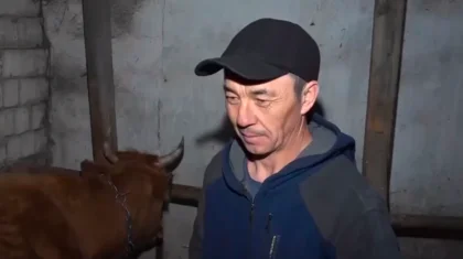 Казахстанская корова попала на страницу мирового модного издания