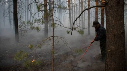 Когда потушат лесной пожар в Абайской области, сообщил вице-министр по ЧС