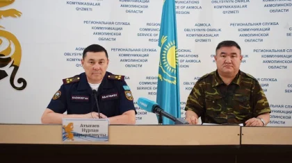 Причины лесных пожаров в Акмолинской области назвали в ДЧС