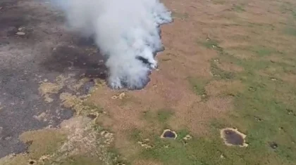 Крупный пожар на территории Иле-Балхашского резервата ликвидирован —МЧС