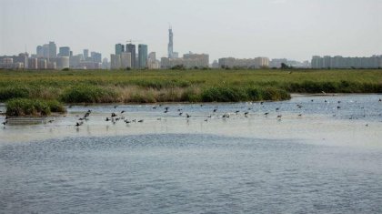 Верховный суд вынес решение по делу малого Талдыколя