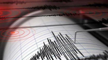 Землетрясение магнитудой 4,8 зафиксировали близ Алматы