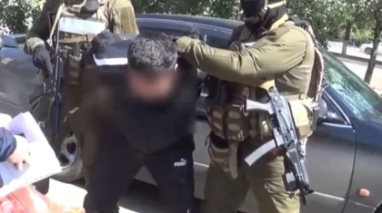 Сотни предприятий пользовались услугами ОПГ в Павлодарской области
