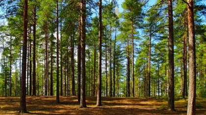 Участок за 1,6 млрд тенге вернули государству в Акмолинской области