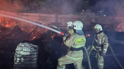 В МЧС поделились подробностями пожара в банном комплексе в Алматы