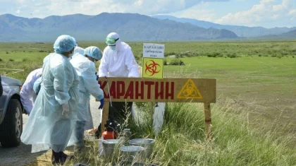 Сибирская язва в Акмолинской области: число заболевших увеличилось