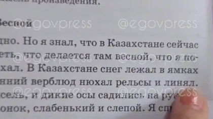 «Верблюд нюхал рельсы»: учебник литературы озадачил казахстанцев