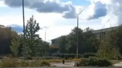 Стало известно, почему мужчина оказался без штанов в павлодарской школе