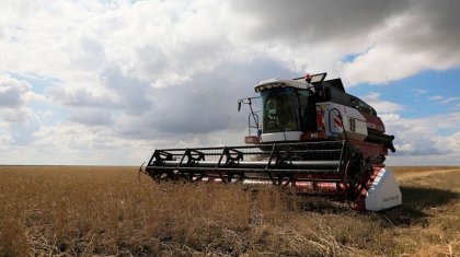 Как в Казахстане поддержат пострадавших от непогоды аграриев