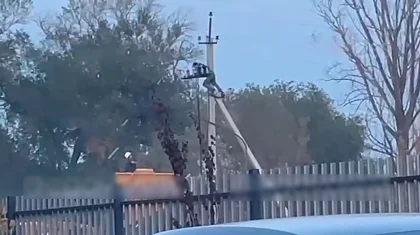 «Сгорел заживо и прилип к столбу»: жуткое видео с электриком сняли в Алматы
