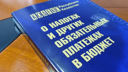 Мажилис принял поправки в Налоговый кодекс: каких изменений ждать казахстанцам